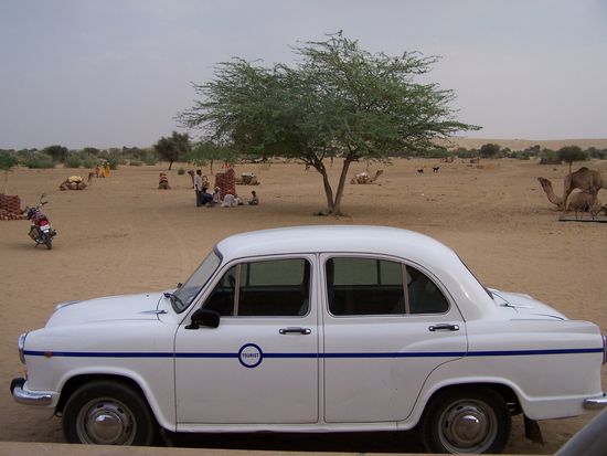 "Mein" Tourist-Ambassador