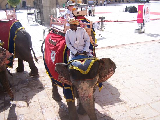 Ich sitze nicht das 1. Mal auf einem Elefanten, aber so bescheuert kam ich mir dabei bisher noch nie vor !