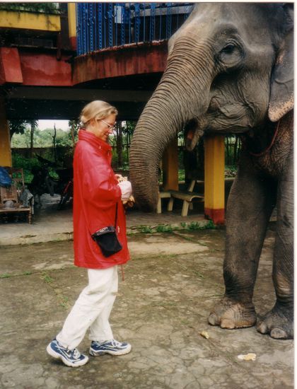 Im Yok Don NP in der Nähe von Ban Don, damals noch völlig untouristisch