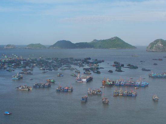 Früh morgens in der Bucht von Cat Ba town - "city" wär´echt geprahlt...
