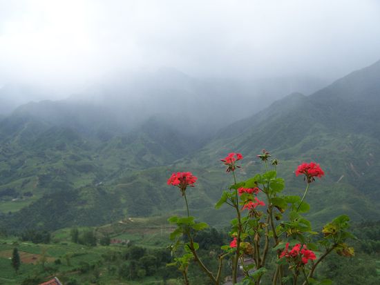 ...diese unbeschreibliche Aussicht !