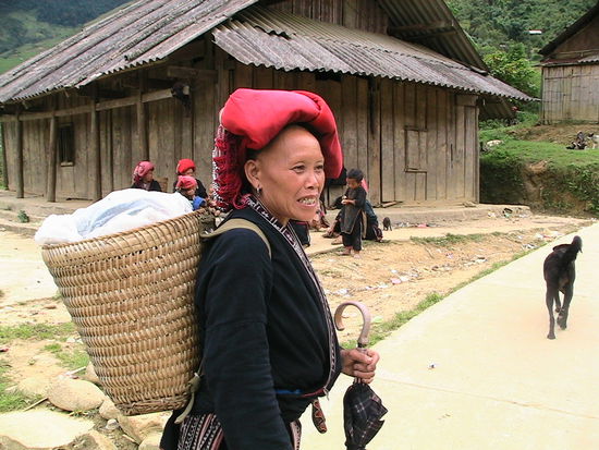 Rotkäppchen und der böse Wolf