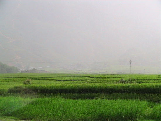 Diese Regenwolke wabert jetzt den Hang hinunter ins Dorf und ist sehr schnell da.