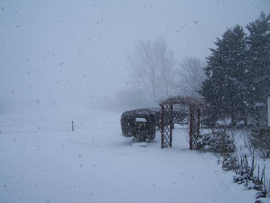 Am Tag vor meiner Abreise sah es so aus in unserem Garten !