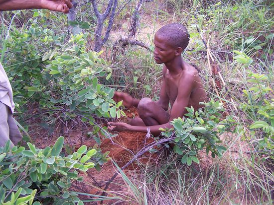 ...und so gräbt man sie aus