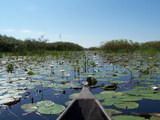 Das sieht so friedlich und schön aus.