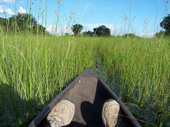 Das sind meine Schuhe...sauber geschrubbt.