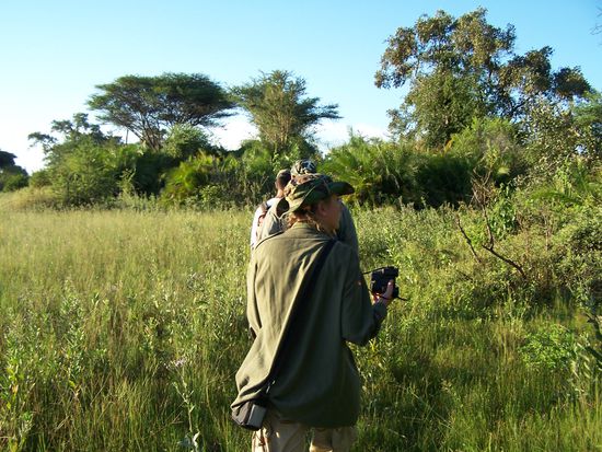 Im Gänsemarsch auf der Pirsch...