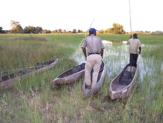 Dann eben wieder zurück ins Camp