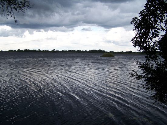 Zugegeben: Schlecht zu sehen, aber ganze Inseln trieben vom Wind vorangepustet an uns vorbei