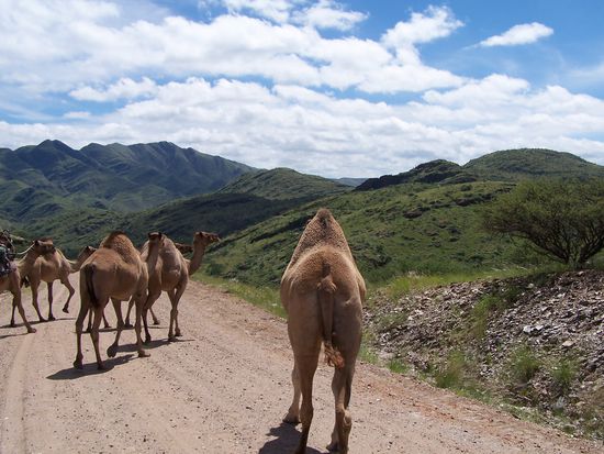 Mit diesen Jungs hatte ich hier eigentlich nicht gerechnet !