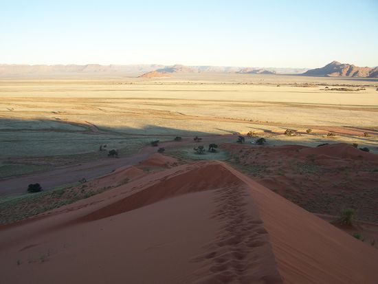 Einige kapitulierten und lagen irgendwo hechelnd im Sand herum