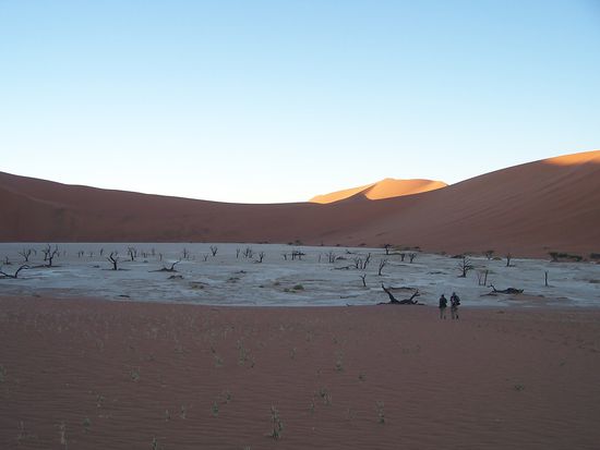 Dead Vlei