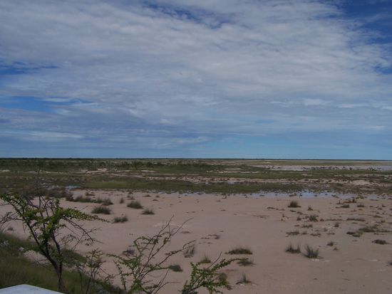 Die Salzpfanne Etoshas war ziemlich leer, leider