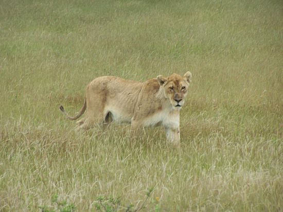 Aber wir hatten Riesenglück !