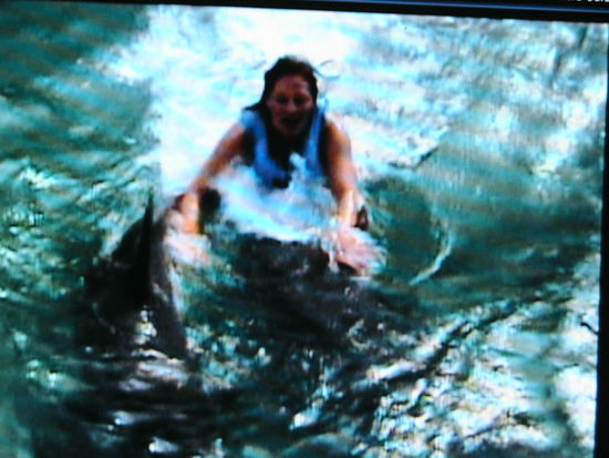 Es ist irre, wie schnell die Delphine sind !