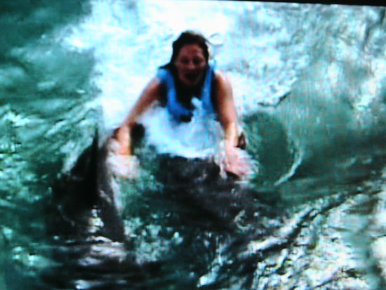 Diese Tiere haben eine wahnsinnige Kraft