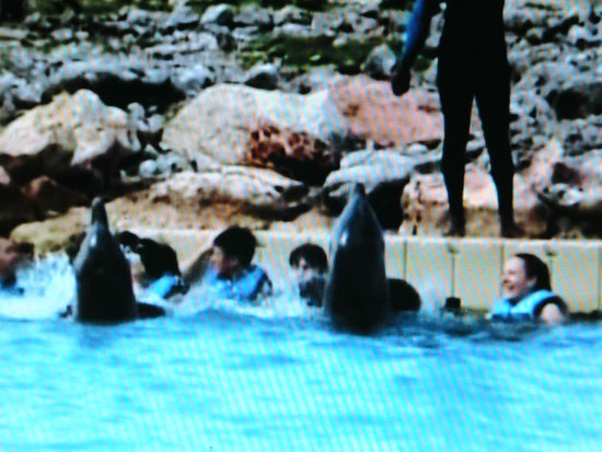 Wir müssen uns leider verabschieden, aber es war unvergesslich !