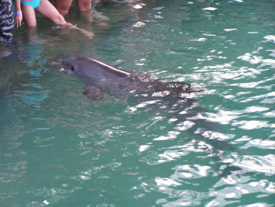 Schwer, sich loszureissen...