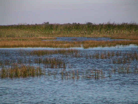 Die unendlichen Weiten der Everglades
