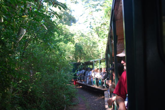 Der Zug durch den Dschungel von Iguassu