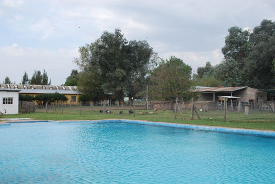 Ein argentinischer Spätnachmittag im Pool.