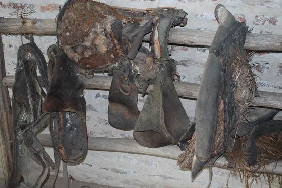 Wahrscheinlich das Zaumzeug des Geisterreiters, den Nalini vor ihrem Fenster in der Nacht gehört hatte...