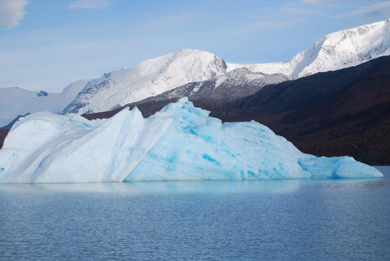 Kein Wunder, die ersten Eisberge treiben um das Schiff herum