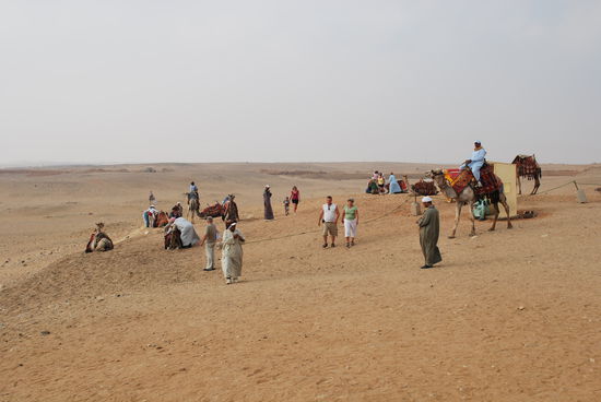 ...want to ride camel ? Nö, ich nicht.
