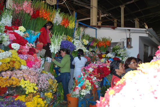 Der Markt ist eine Farborgie