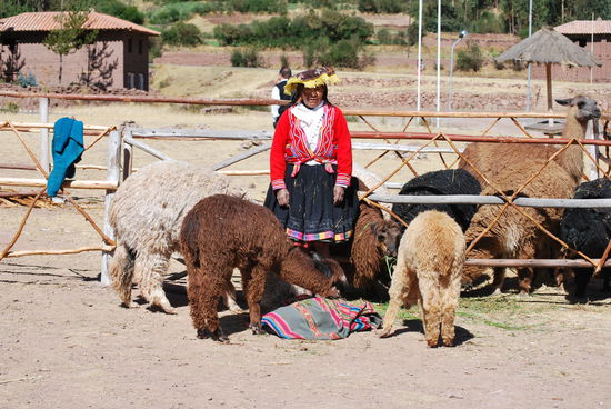 Ja, ich krieg´nicht genug davon, Mädels mit Lamas zu fotografieren !