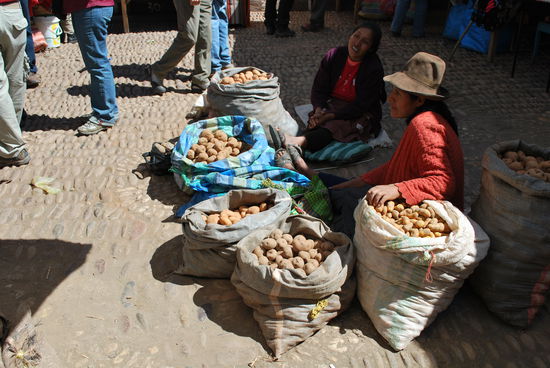 Eine - winzig kleine - Kartoffelauswahl