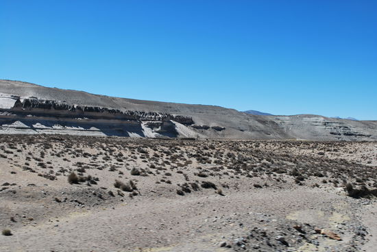 Wir erreichen diese Formation, die ein petrified forest ist, also ein versteinerter Wald. Ganz in der Nähe befindet sich eine Raststelle, wo man eben Coca-Tee bekommt und viele schöne Souvenirs...