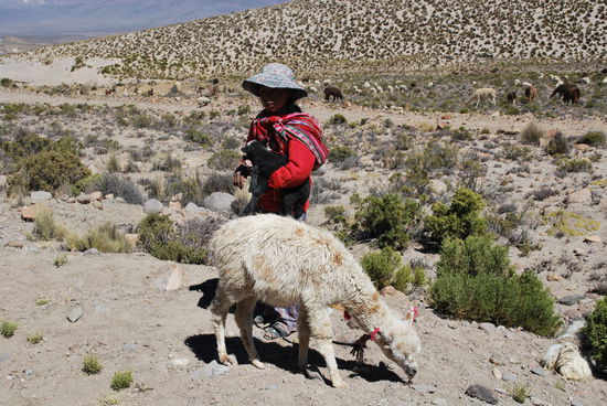 Peruanische Kinder sind alles andere als doof, sie wissen, wie sie Europäer zum Quietschen kriegen können, was natürlich 1 Sol kostet, aber das sind 0,20 EUR und wer von uns kann die wohl besser gebrauchen ???