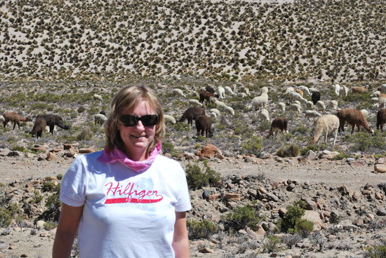 Alpakas, Lamas, Vicunyas und ich