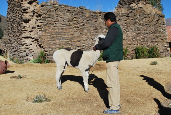 Angekommen am Hotel - der anderen. Dies ist nicht mein Hotel, ich kriege wieder Extra-Wurst, keine Ahnung, wieso. Ich frage nach, aber José - hier mit Lama - weiss es auch nicht. Ist eben einfach so gebucht.