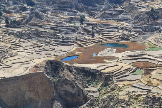 Terrassen - angelegt von den Inkas und bis heute genutzt. Die Erträge sind gut, denn auf den Terrassen herrscht ein Mikroklima, das die Pflanzen gut wachsen lässt.