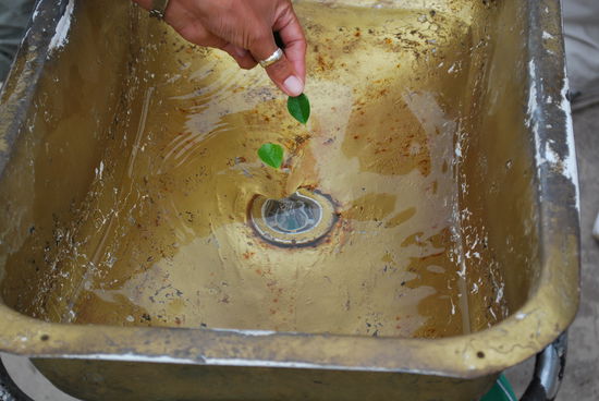 Das ist das Ding mit dem in unterschiedlichen Richtungen ablaufenden Wasser auf Süd- und Nordhalbkugel - sehr umstritten, aber eindeutiger geht es eigentlich nicht -  als genau hier !