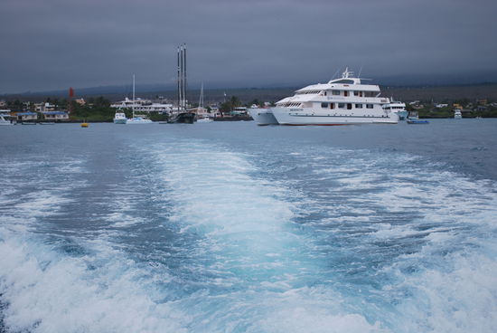 Wir verlassen Puerto Ayora - so ein tolles Schiff, wie im Bild zu sehen, haben wir natürlich nicht !