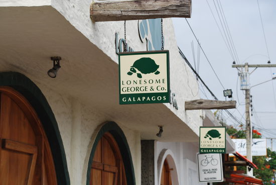 Überall wird Werbung mit Superstar George gemacht...