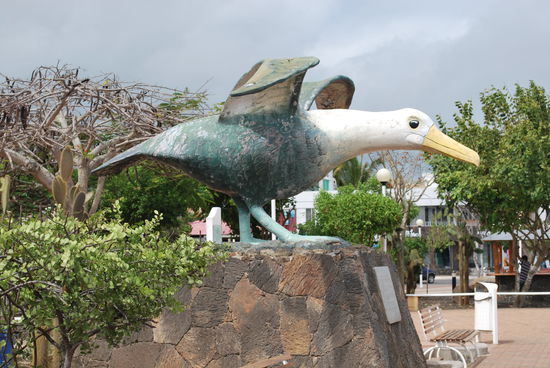 Blautölpel-Statue in Puerto Ayora