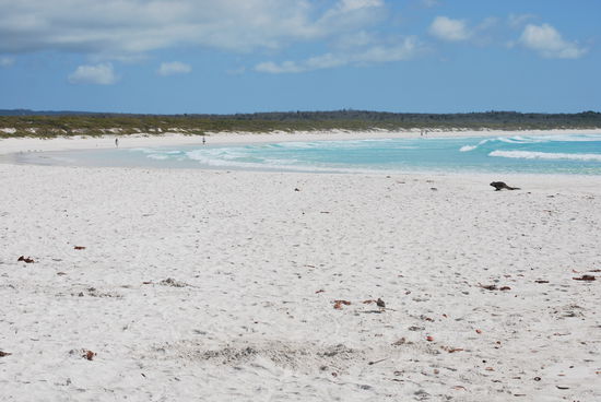 Tortuga Beach - ein absoluter Traumstrand !