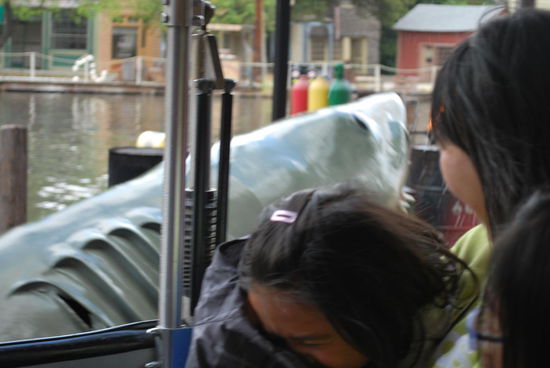 Der Plastikhai erschreckt Kinder unter 10 und die haben ja wahrscheinlich noch niemals den Film gesehen !