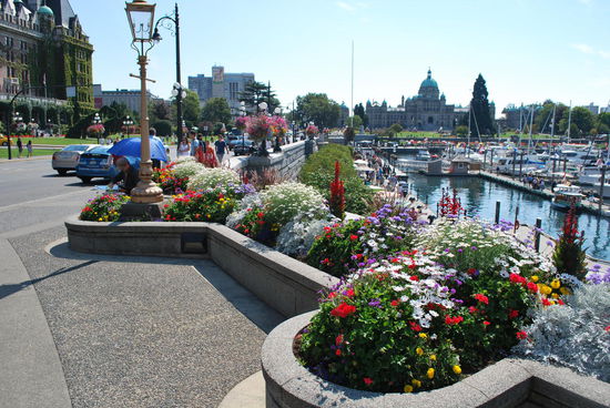 Die Blumenpracht vorm inner harbour