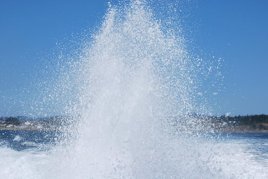 Der Hafen ist verlassen, unsere Kapitänin dreht auf !