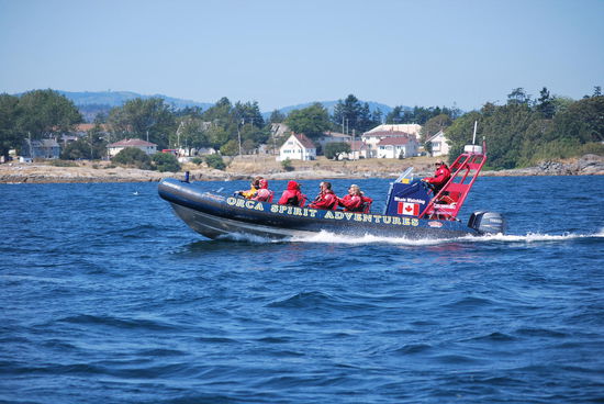 So sehen die offenen Zodiac´s aus...