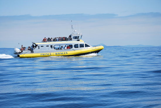 ...und so die geschlossenen.