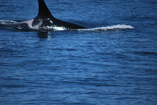 Da ist mal einer so richtig dicht dran