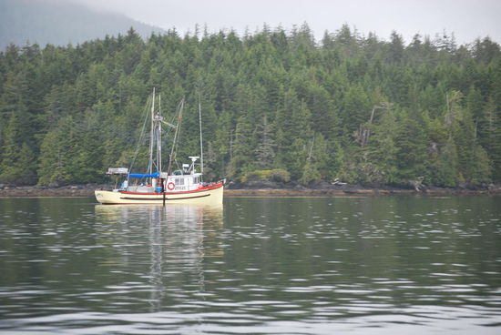 Kurz nach 09.00 Uhr: Wir laufen in den Hafen wieder ein und dieses Boot kommt uns entgegen. Mich beeindrucken eigentlich nur die dichten Wälder im Hintergrund.