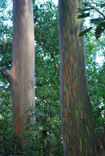 Hier besser zu sehen..